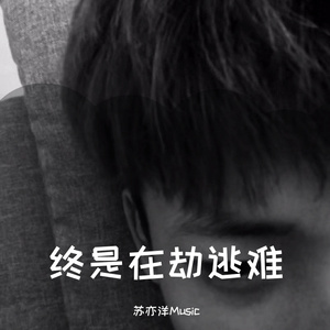 午夜寻花极品在线观看
