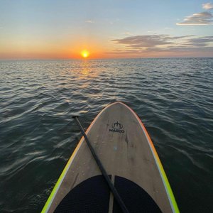 午夜寻花极品在线观看
