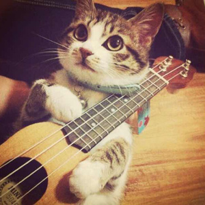 午夜寻花极品在线观看
